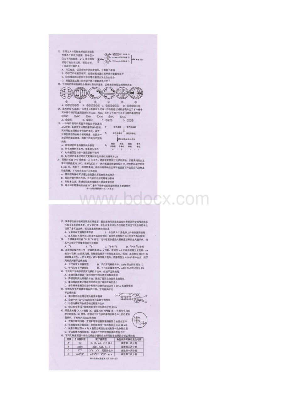 四川省绵阳市高中学年高一下学期期末教学质量测试生物试题 扫描版含答案.docx_第3页