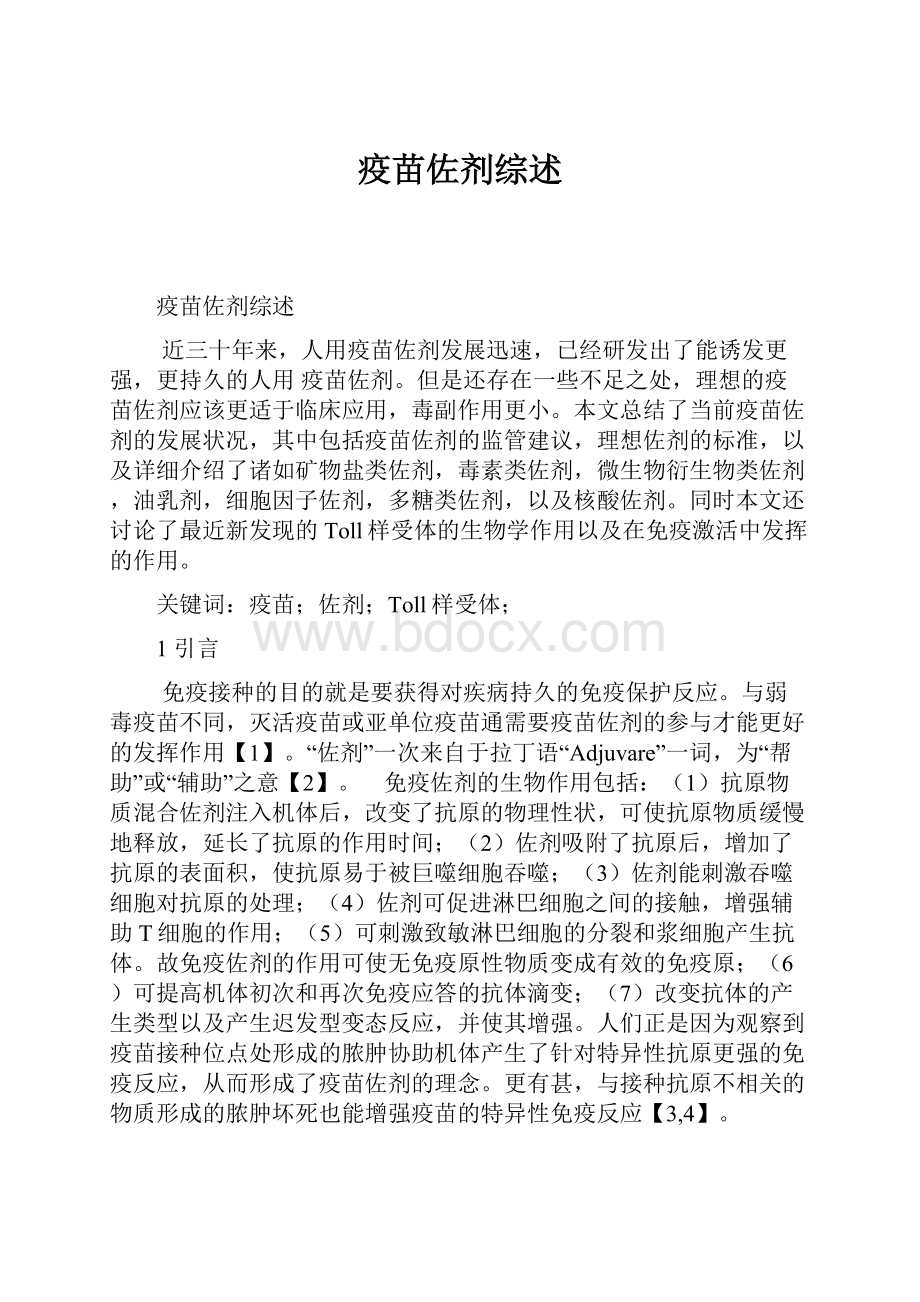 疫苗佐剂综述.docx_第1页