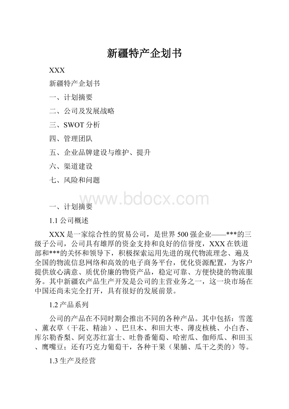 新疆特产企划书.docx