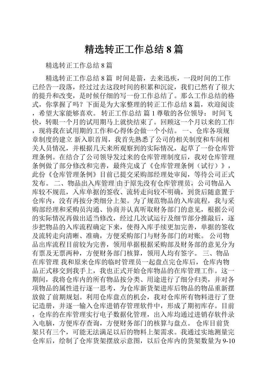 精选转正工作总结8篇.docx