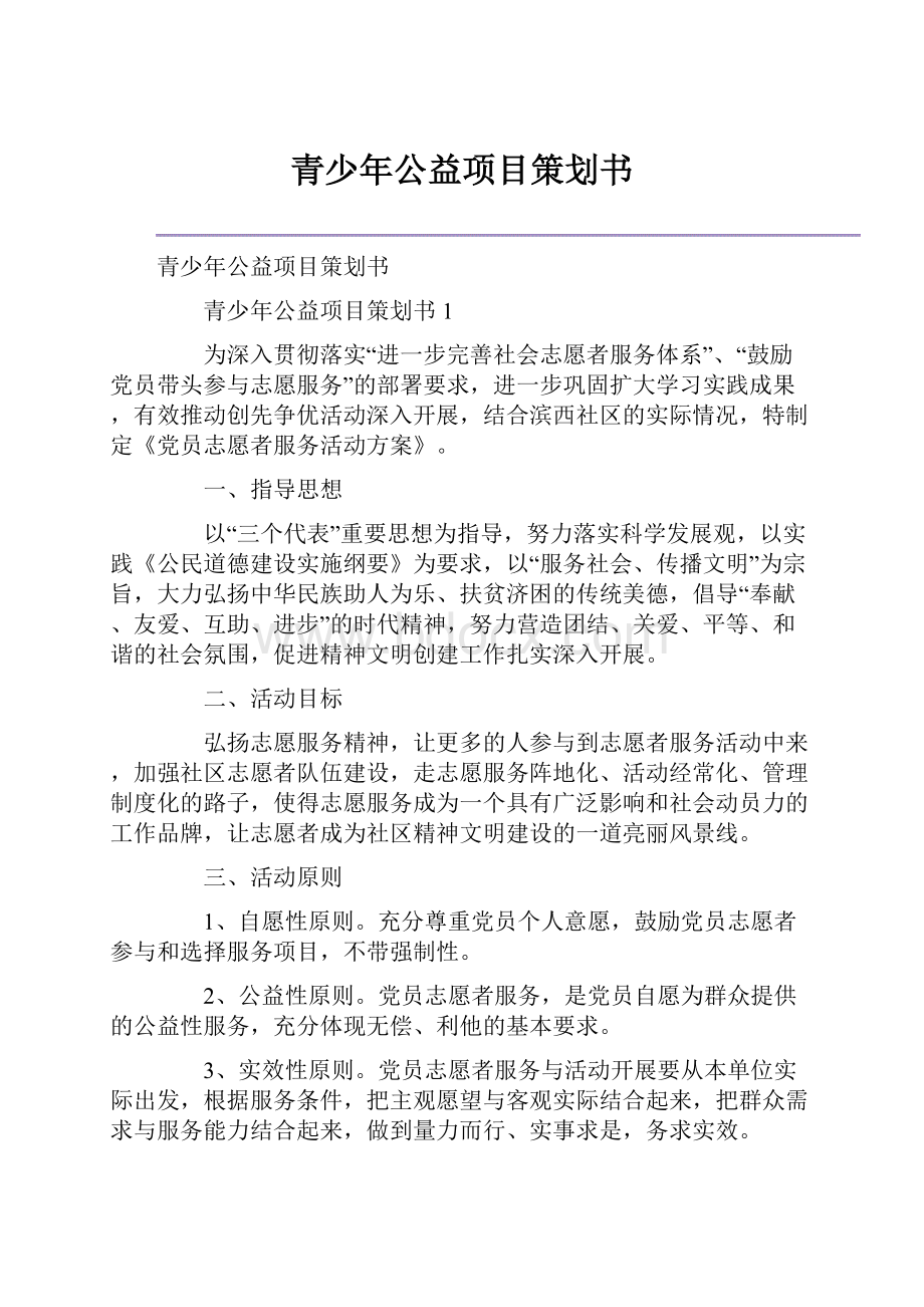 青少年公益项目策划书.docx