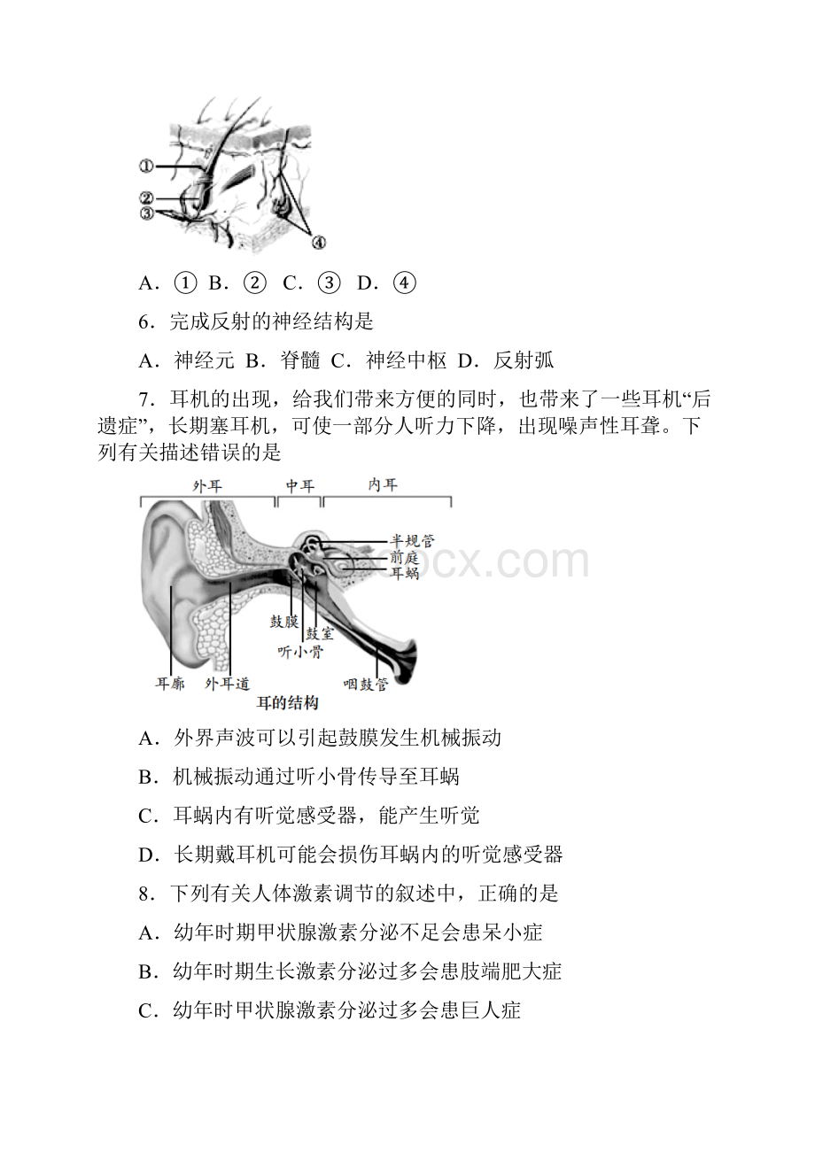 北京燕山初二上期末生物教师版.docx_第2页