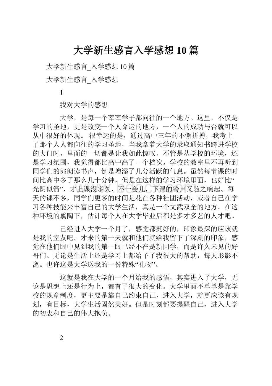 大学新生感言入学感想10篇.docx