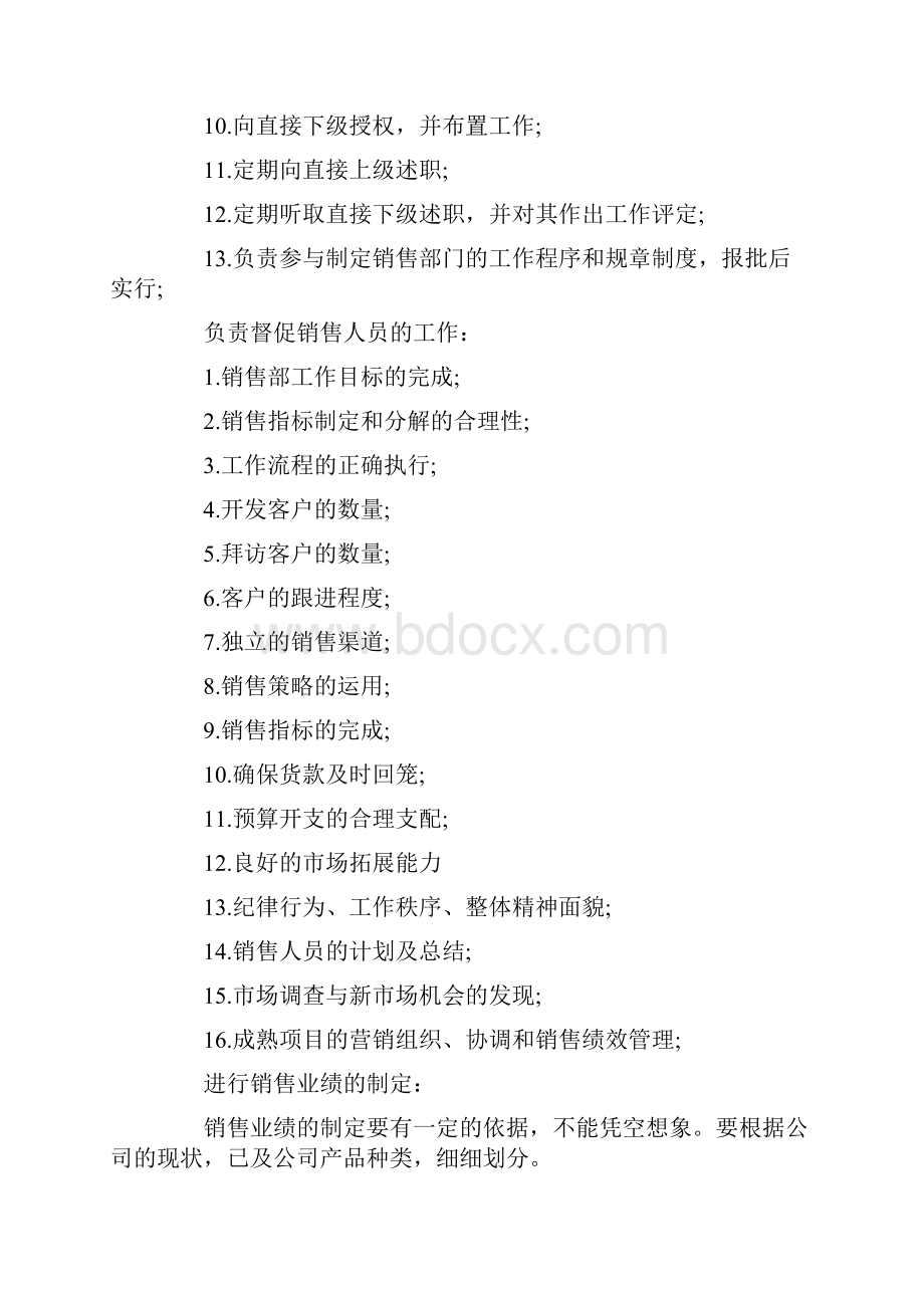 销售总监销售计划.docx_第2页