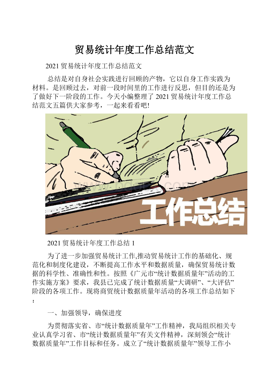 贸易统计年度工作总结范文.docx_第1页