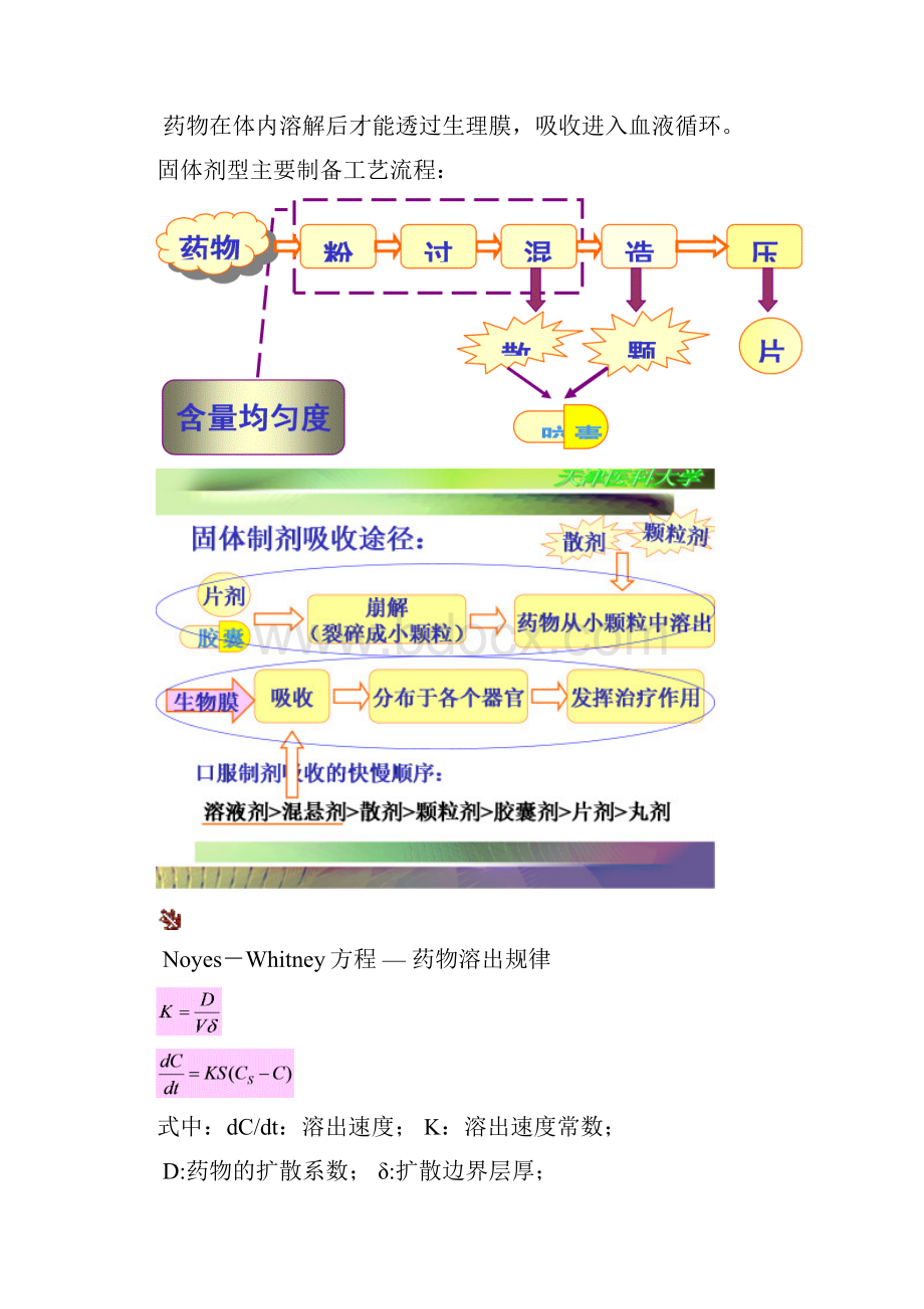 第四章 固体制剂1汇总.docx_第2页