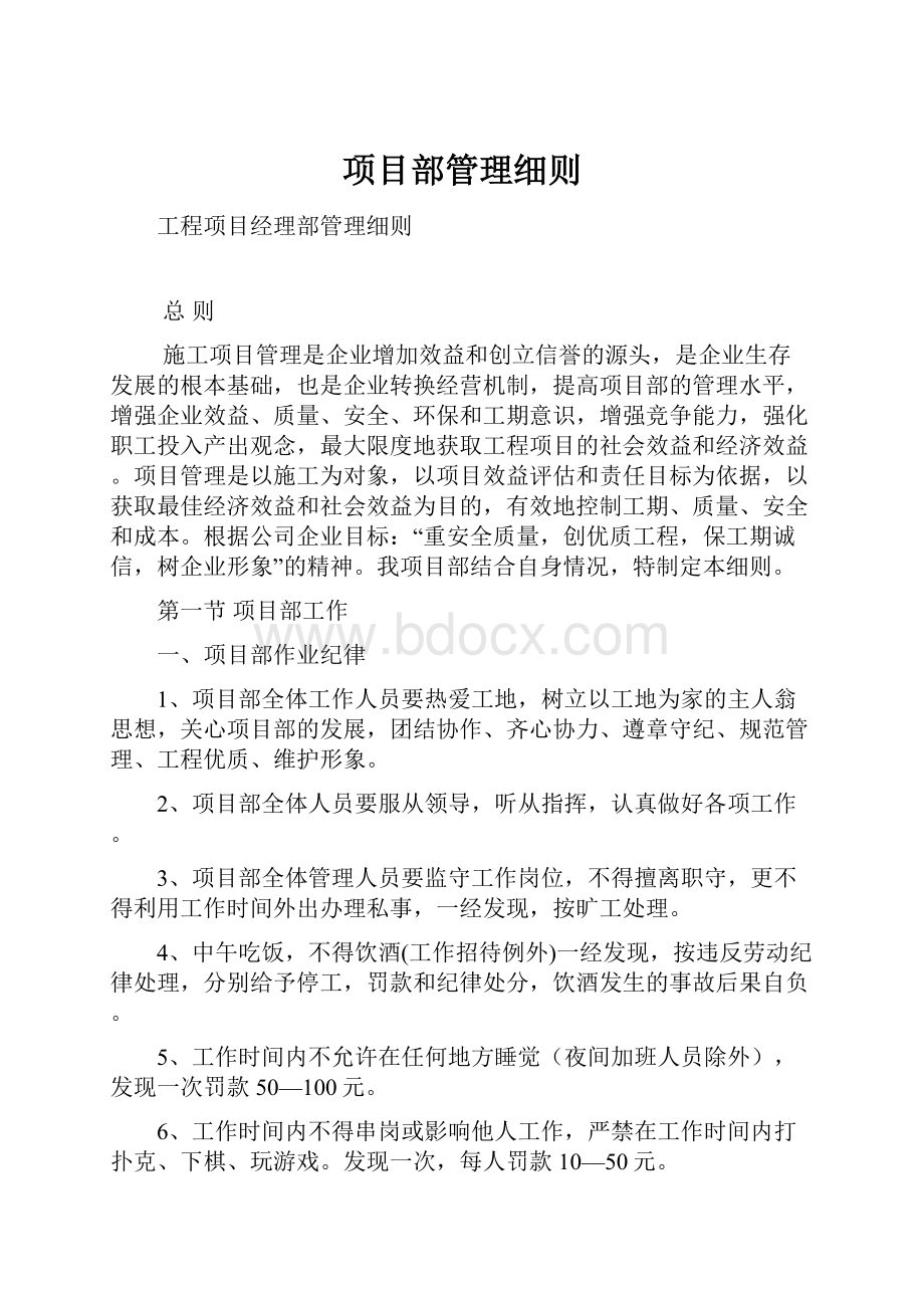 项目部管理细则.docx_第1页