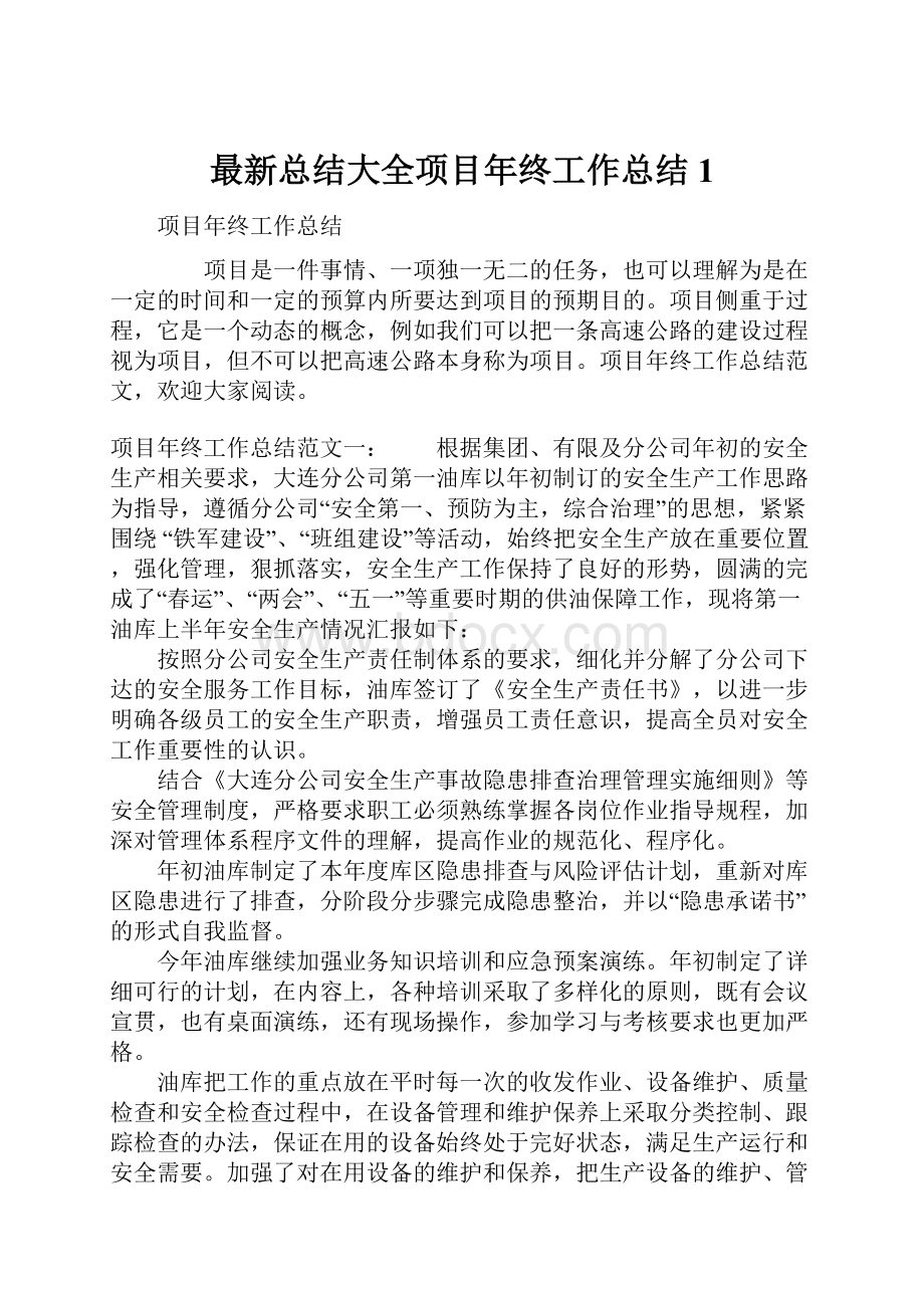 最新总结大全项目年终工作总结1.docx