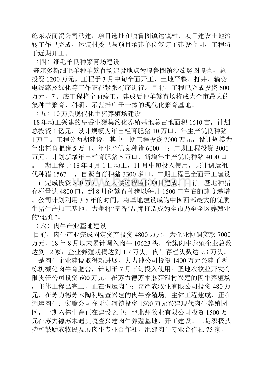 农牧业上半年工程建设工作总结.docx_第3页