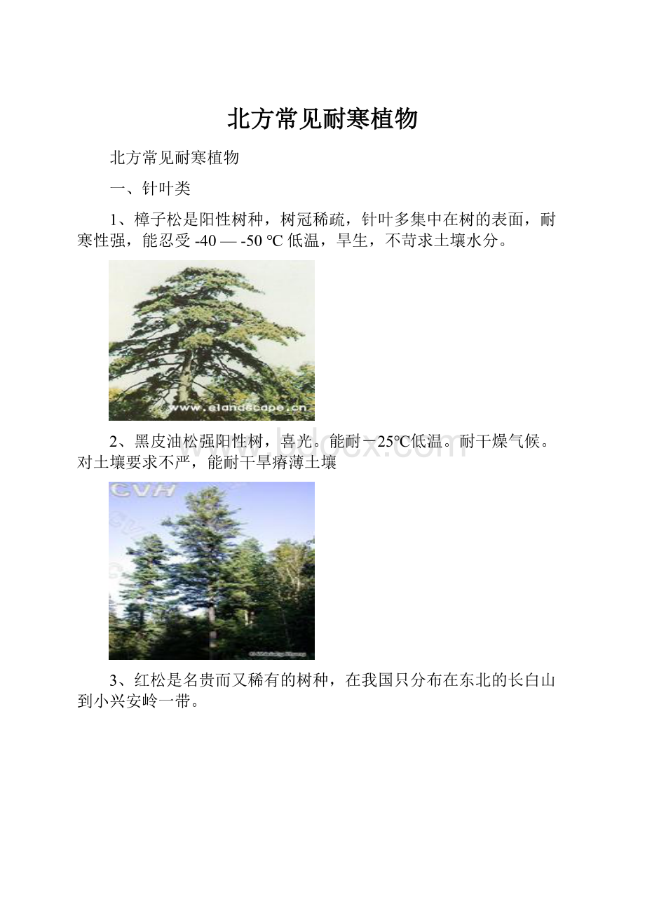 北方常见耐寒植物.docx_第1页