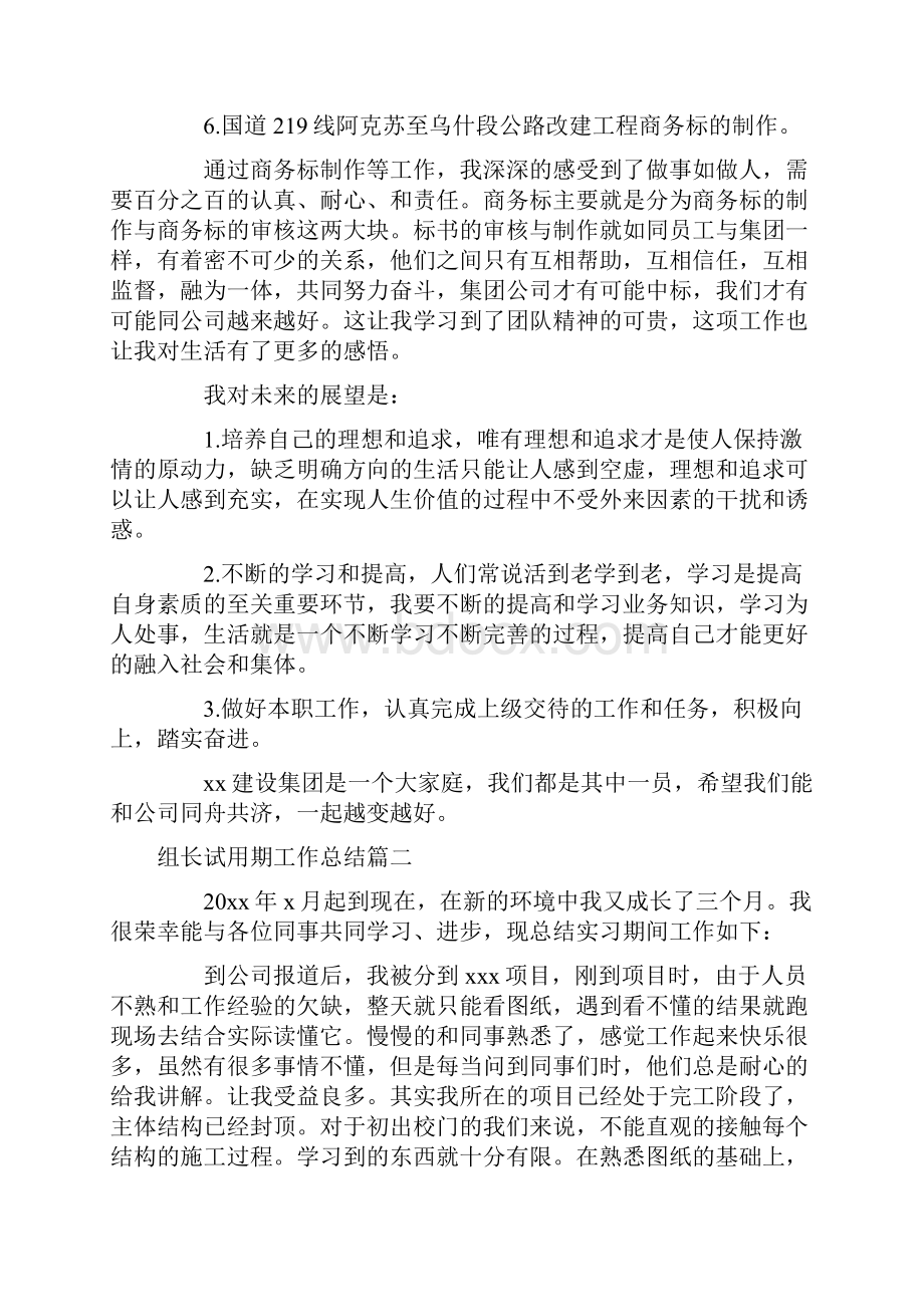 组长试用期工作总结5篇精选.docx_第2页