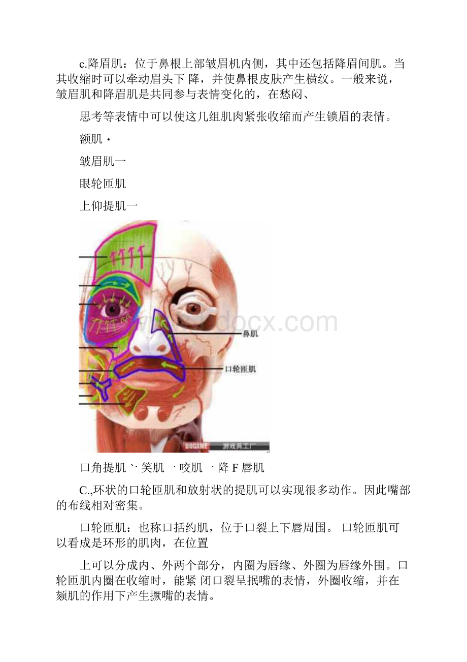 人头面部布线详解.docx_第3页