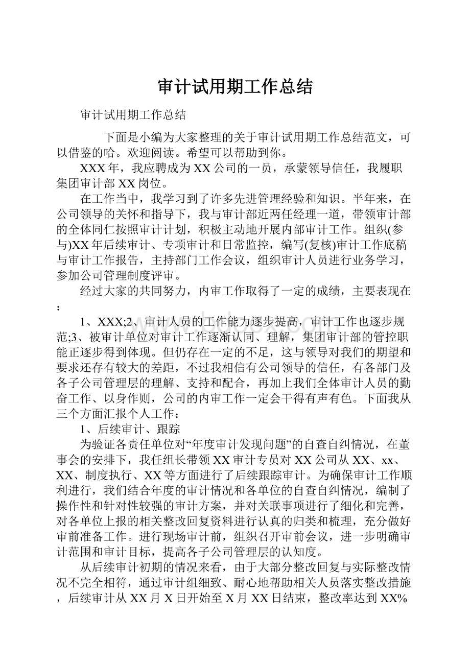 审计试用期工作总结.docx_第1页