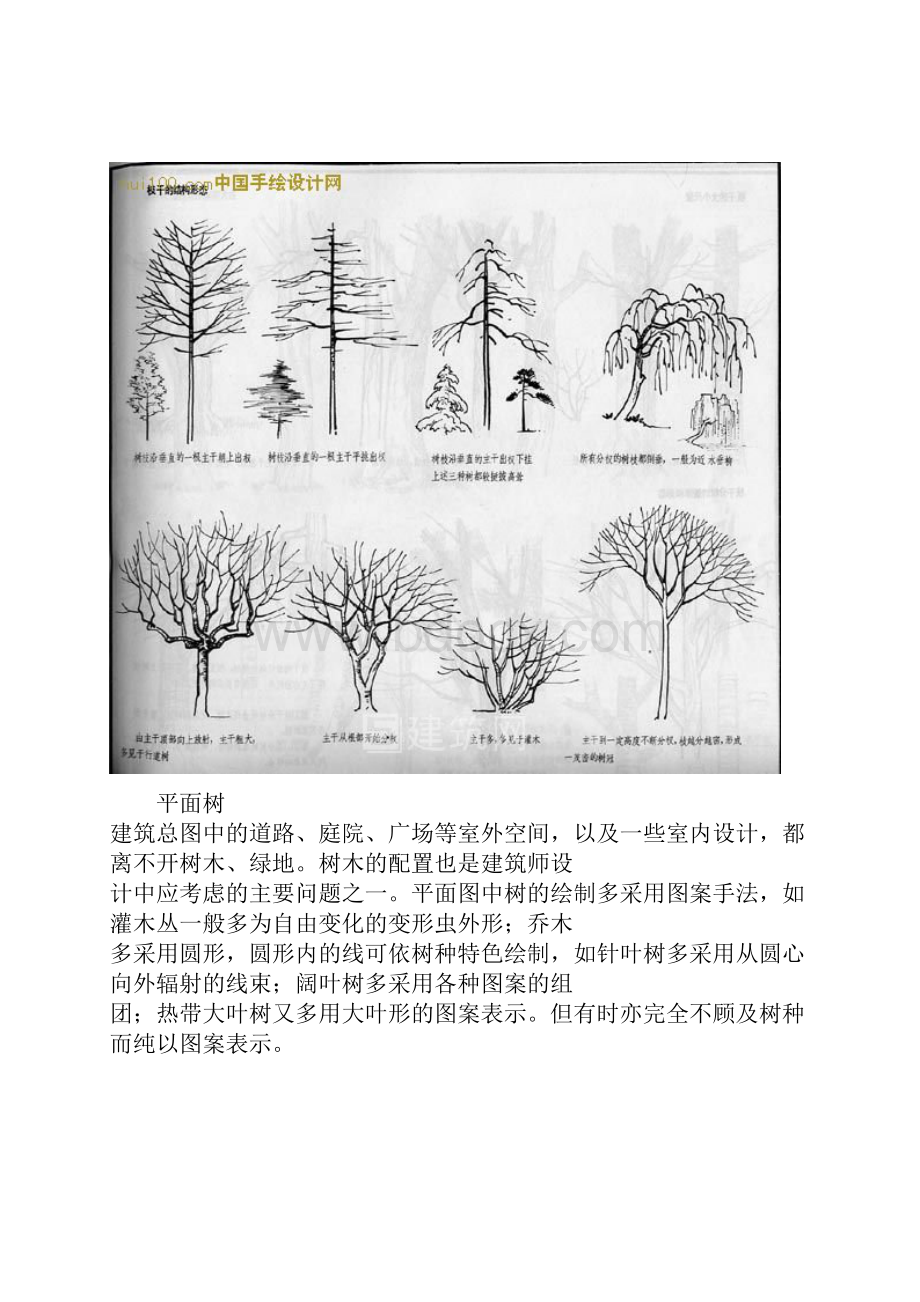 树的画法与表现技法.docx_第3页