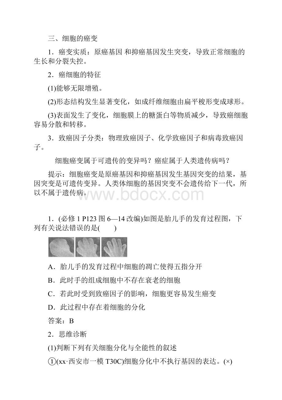 高考生物大一轮复习 第四单元 细胞的生命历程 第13讲 细胞的分化衰老凋亡及癌变讲义.docx_第3页