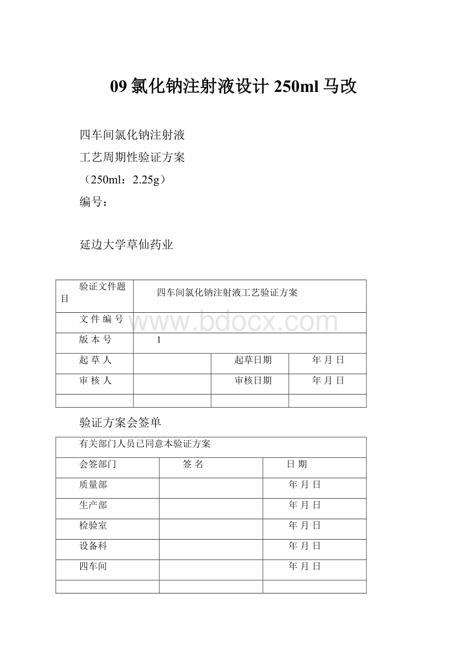 09氯化钠注射液设计250ml马改.docx