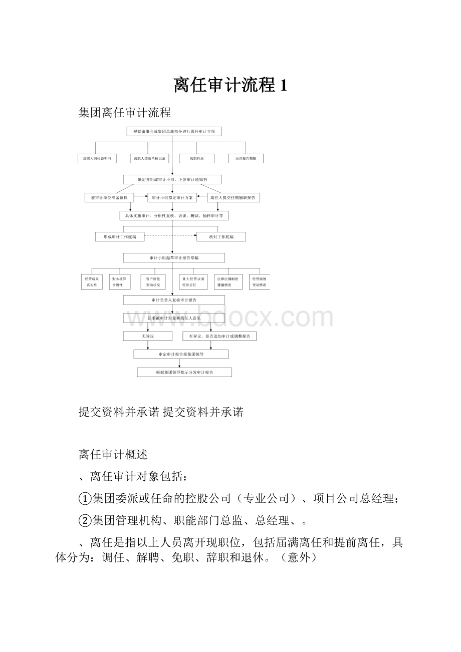 离任审计流程1.docx_第1页