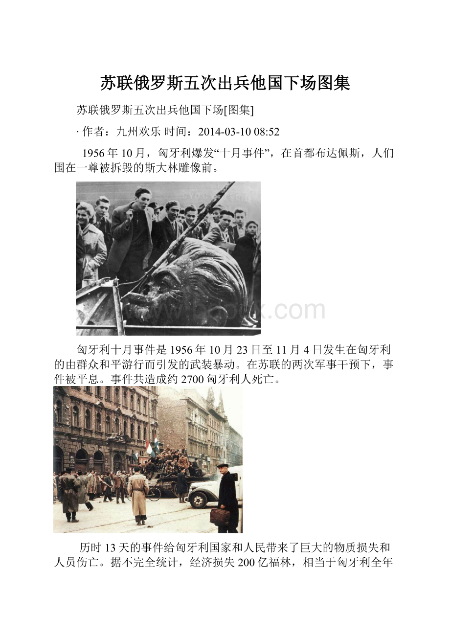 苏联俄罗斯五次出兵他国下场图集.docx