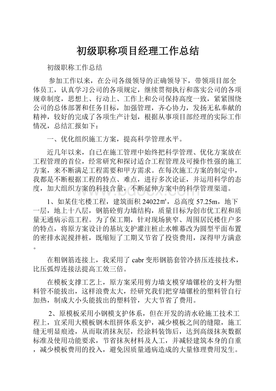 初级职称项目经理工作总结.docx