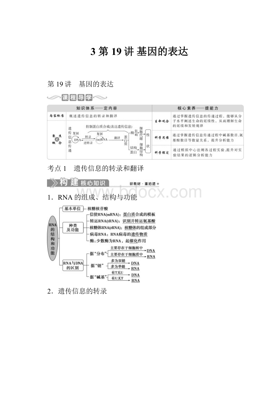 3 第19讲 基因的表达.docx