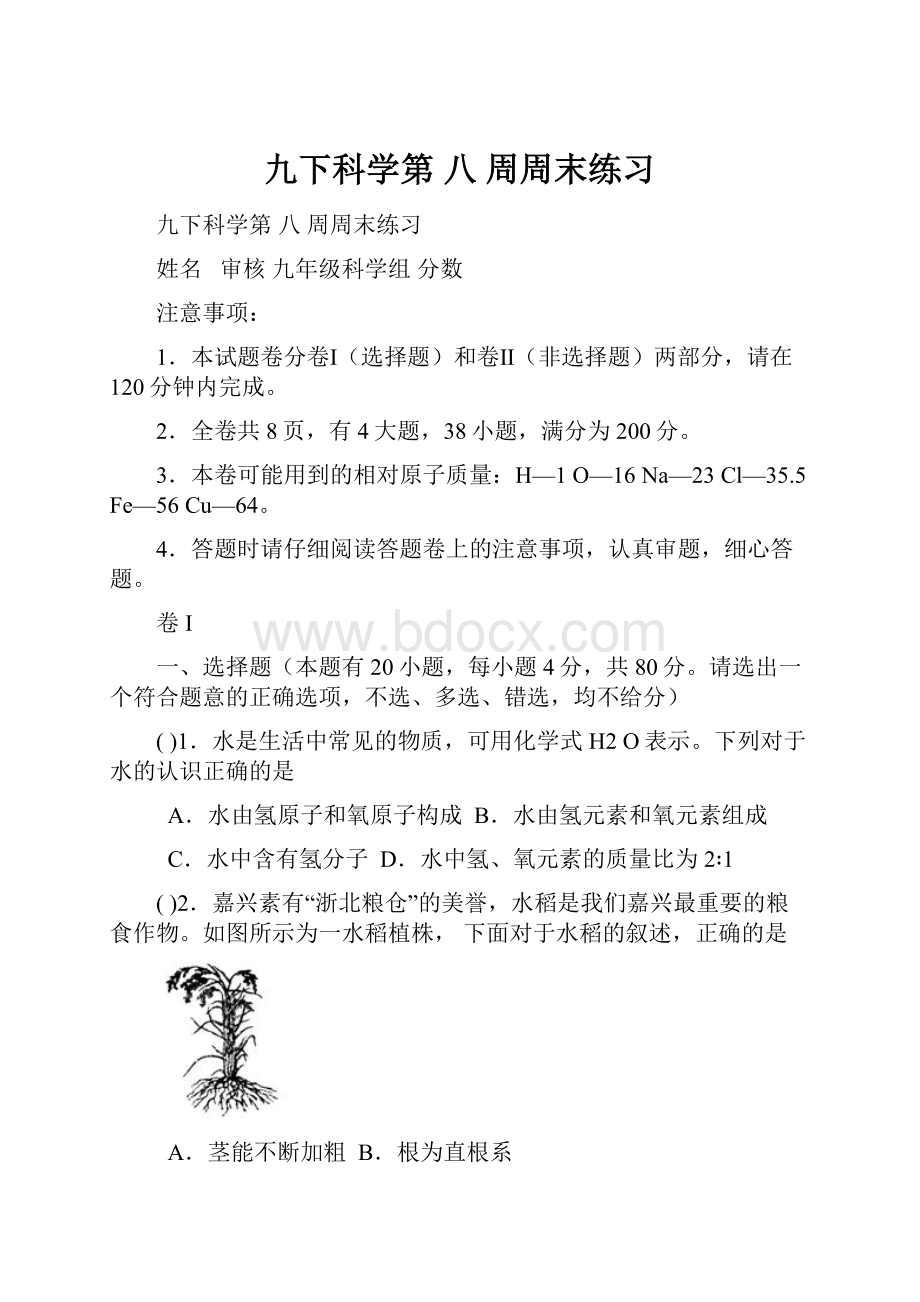 九下科学第八 周周末练习.docx_第1页