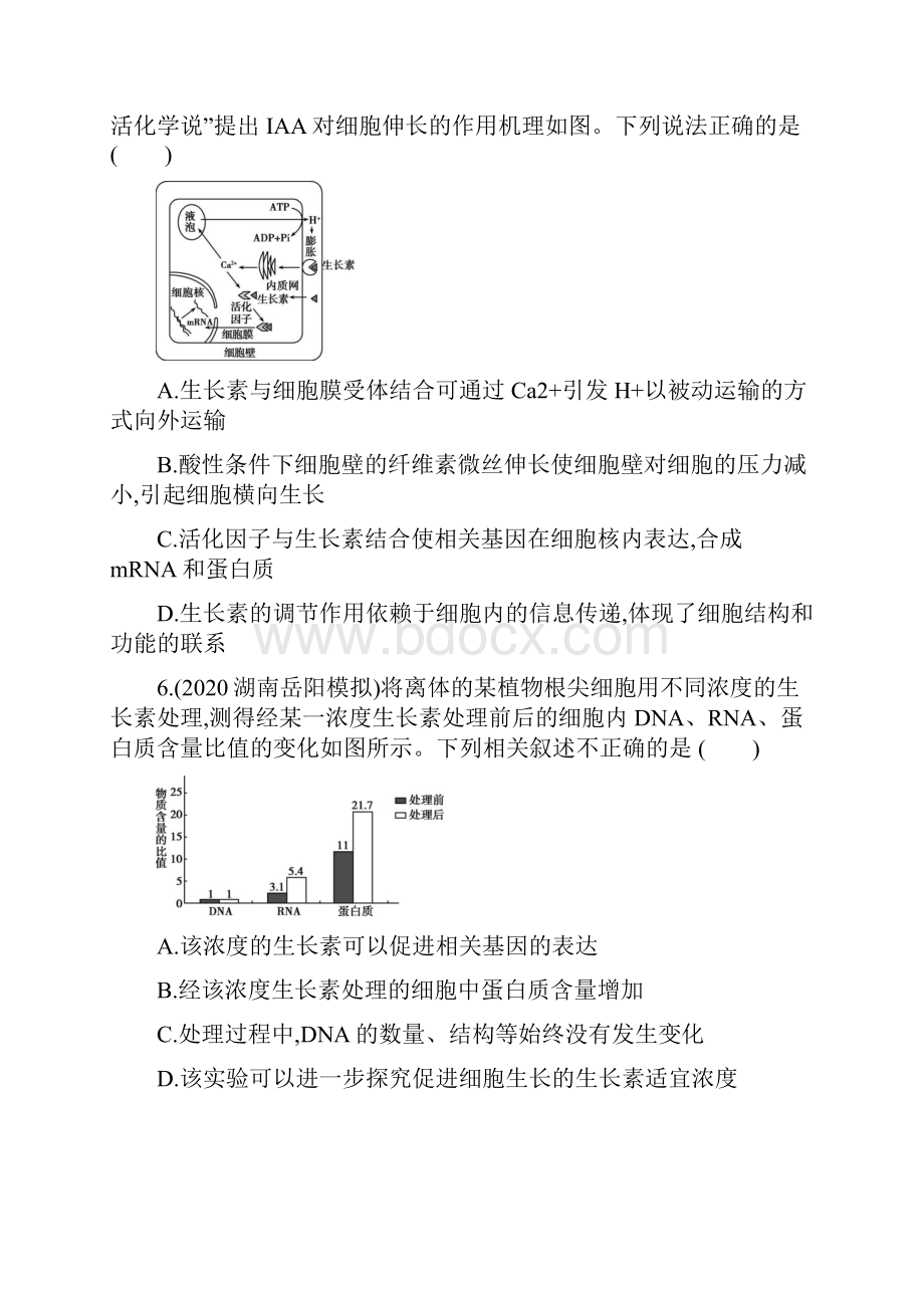 第11讲 植物的激素调节.docx_第3页