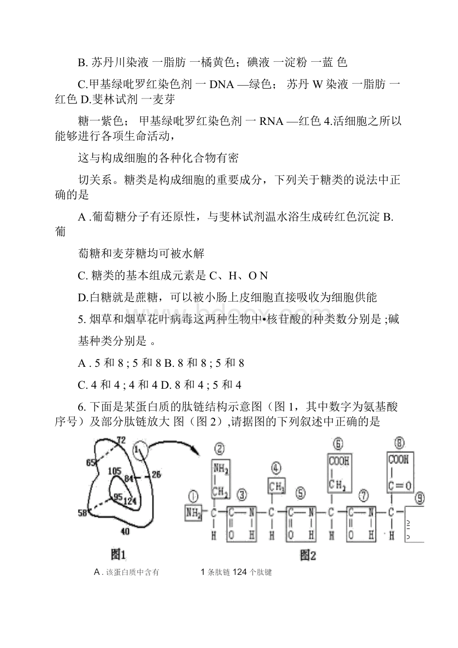 高中生物必修一期末考试试题与答案.docx_第2页