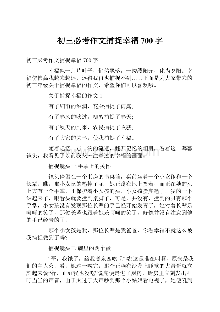 初三必考作文捕捉幸福700字.docx_第1页