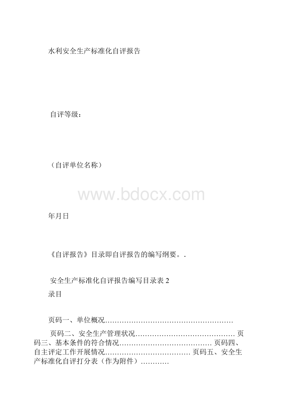 水利安全生产标准化自评报告参考模板.docx_第2页