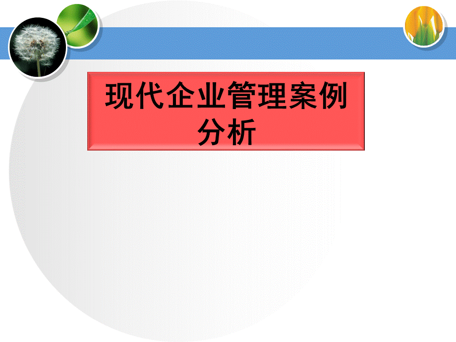 现代企业管理案例分析PPT.ppt