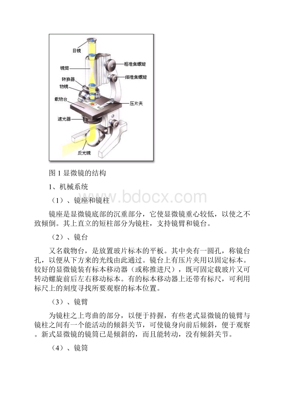 普通生物学实验整理全套资料.docx_第3页