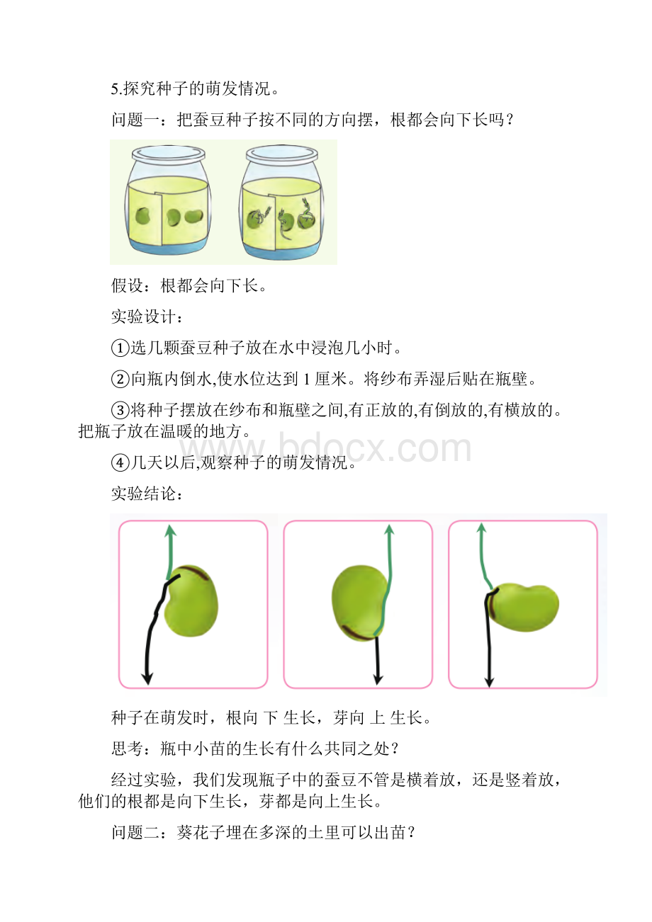 新苏教版科学四年级下册第四五单元知识点整理.docx_第2页