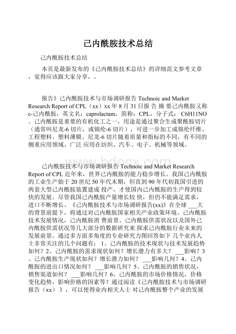 己内酰胺技术总结.docx