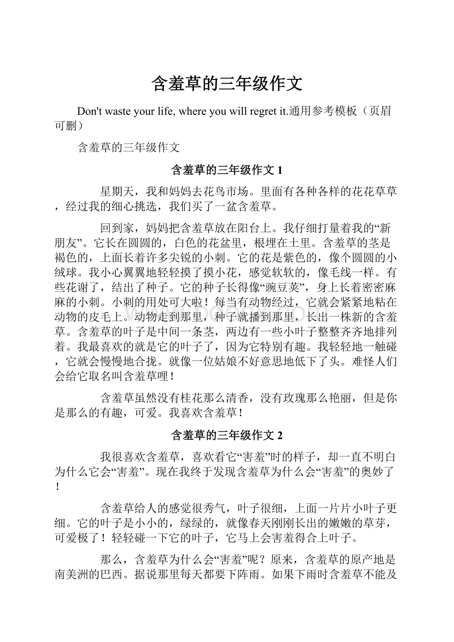 含羞草的三年级作文.docx_第1页