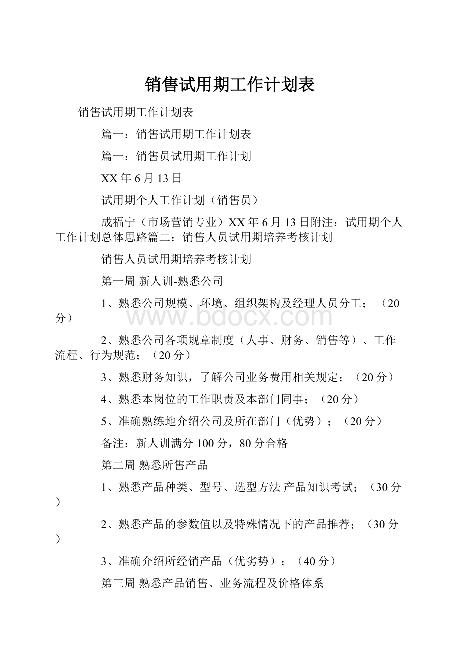 销售试用期工作计划表.docx_第1页