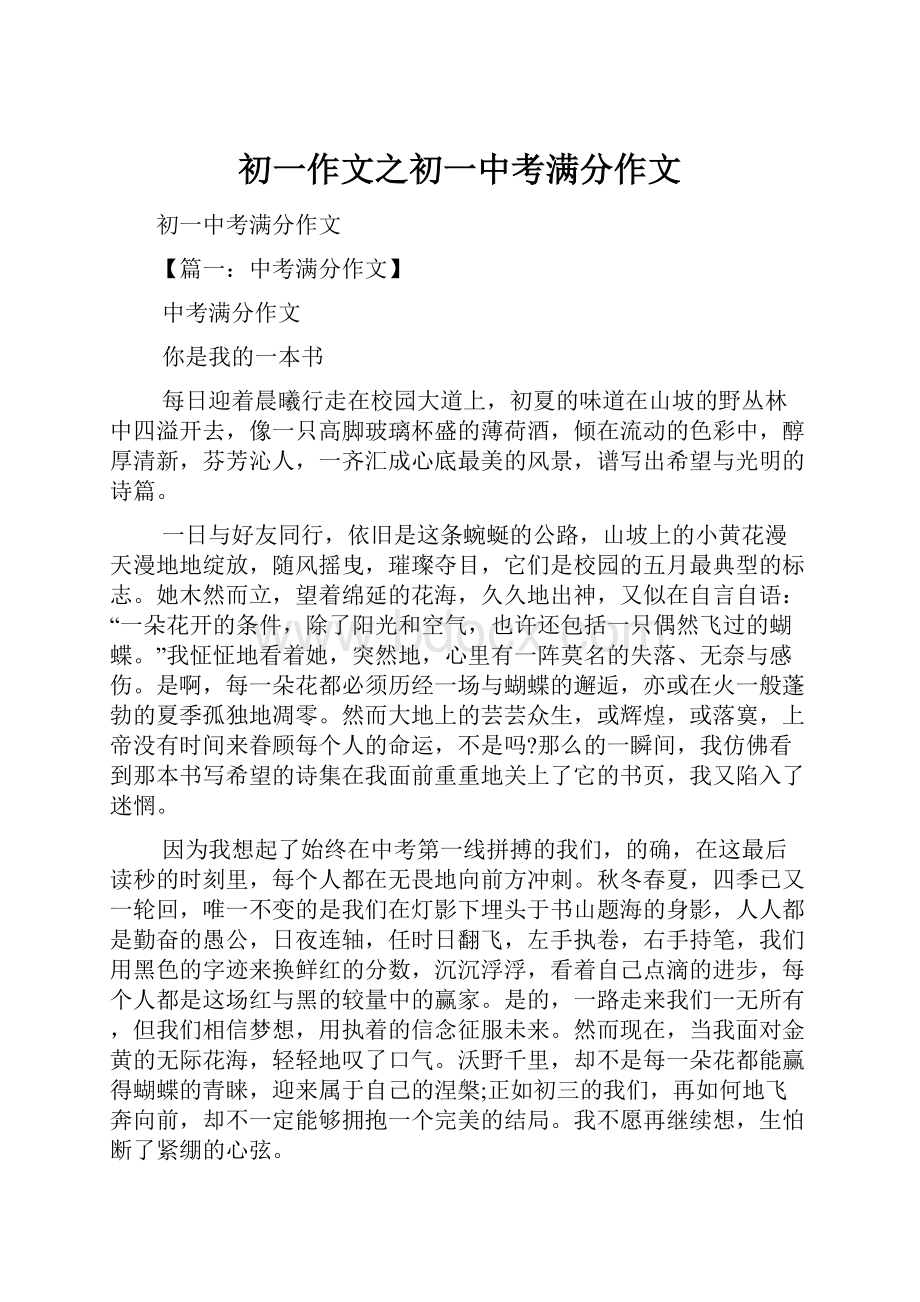 初一作文之初一中考满分作文.docx