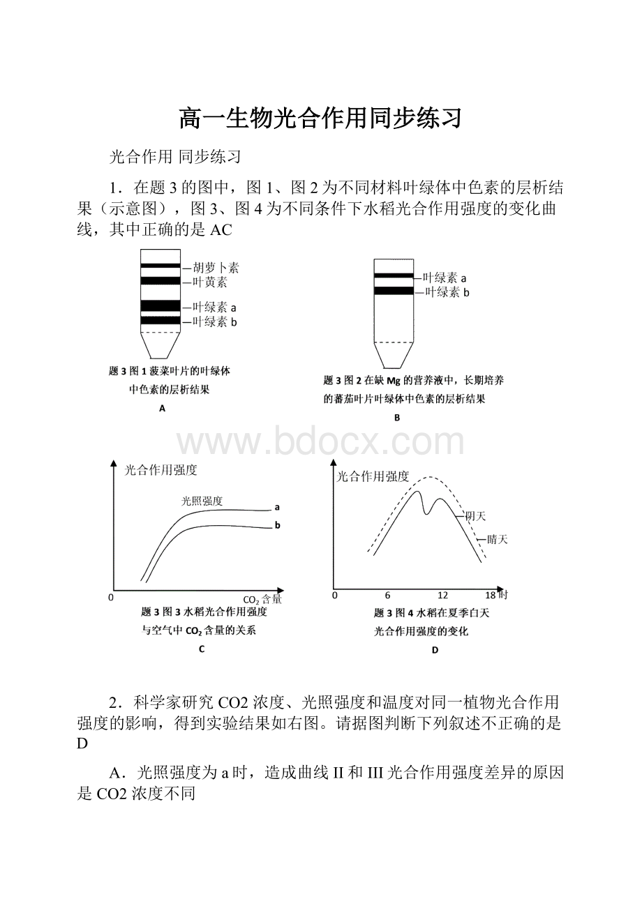 高一生物光合作用同步练习.docx