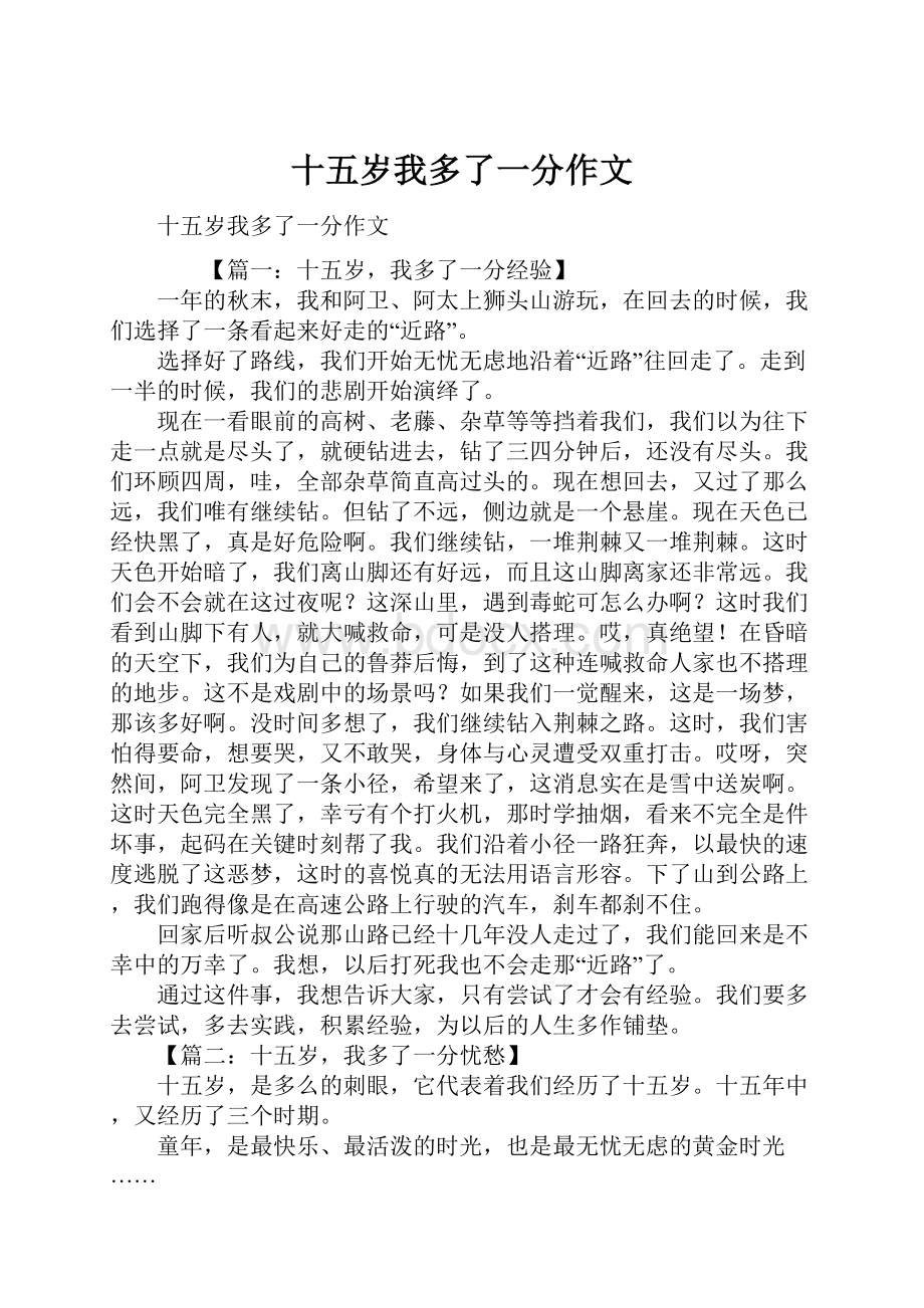 十五岁我多了一分作文.docx