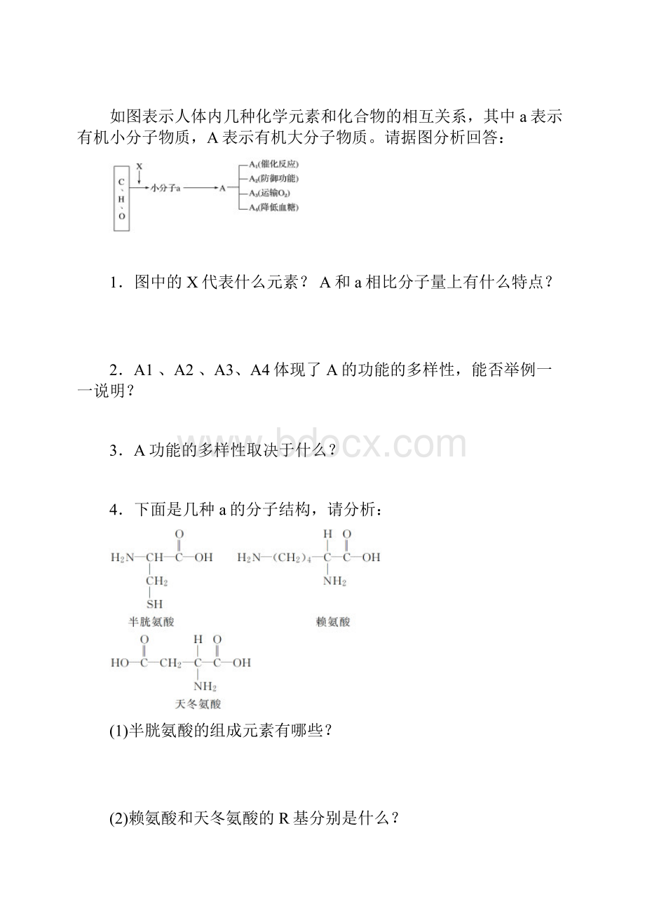 版高中生物浙科版必修一学案132+蛋白质.docx_第2页