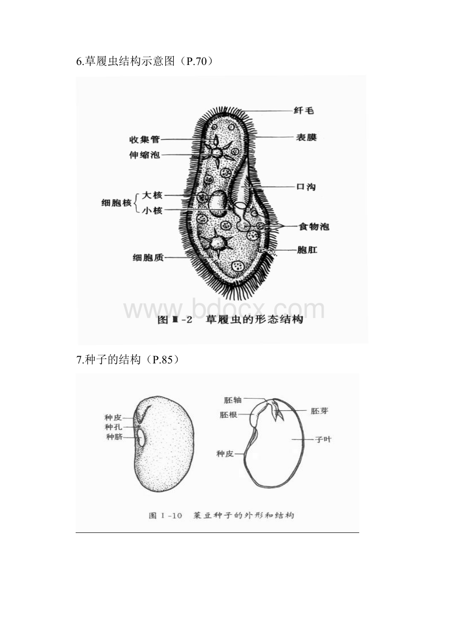 初中生物课本上地图.docx_第3页