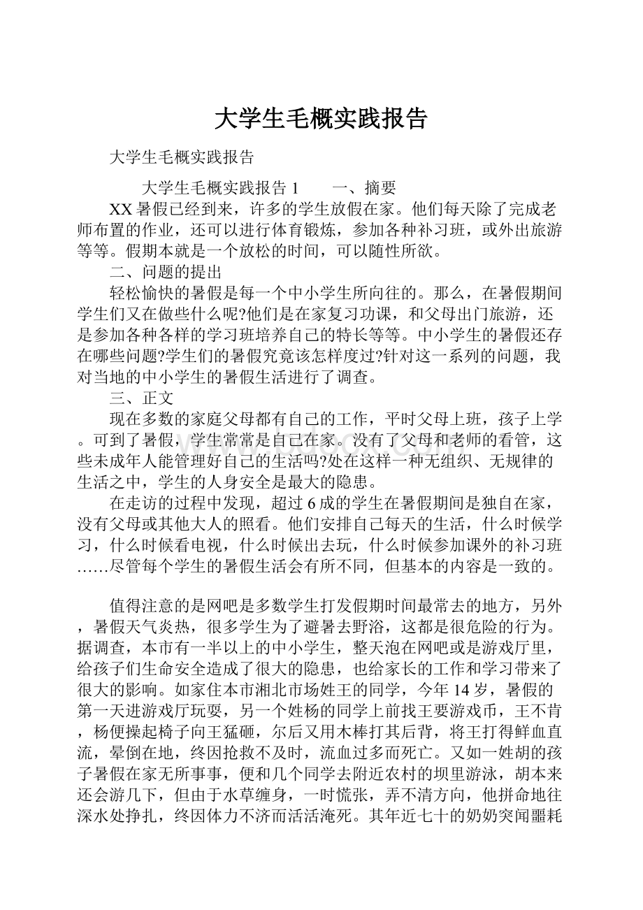 大学生毛概实践报告.docx