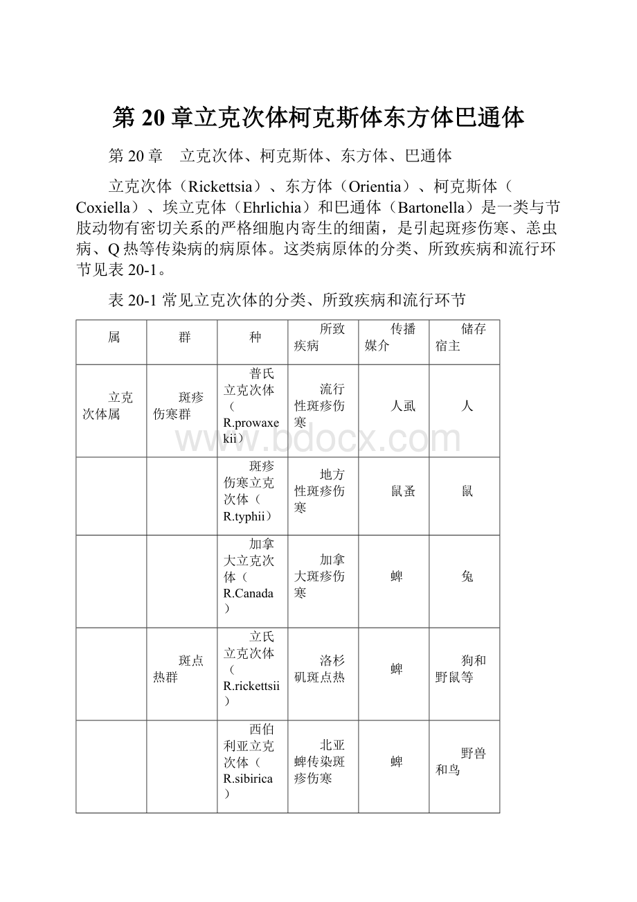 第20章立克次体柯克斯体东方体巴通体.docx_第1页