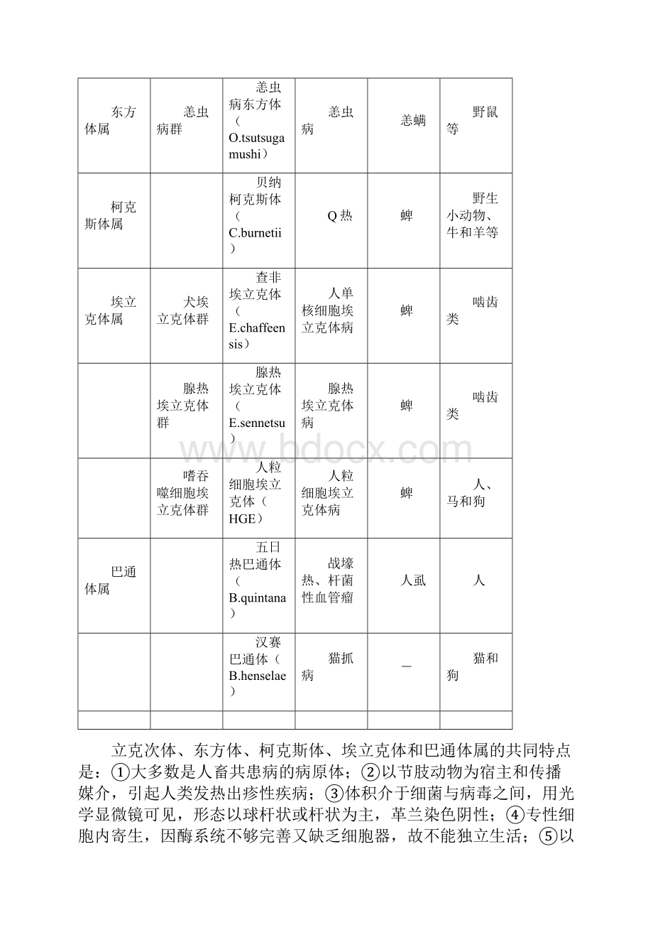 第20章立克次体柯克斯体东方体巴通体.docx_第2页