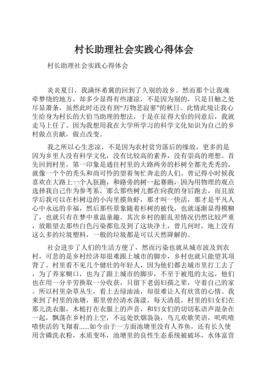 村长助理社会实践心得体会.docx_第1页