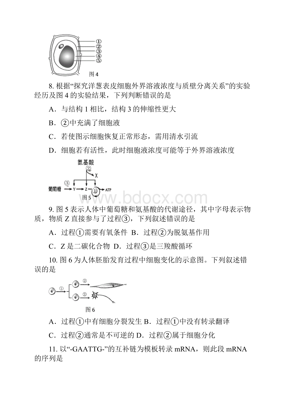 推荐学习上海市黄浦区届高三生命科学上学期期末调研测试试题.docx_第3页