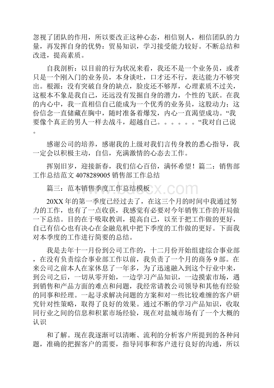 销售工作总结范文ppt.docx_第2页