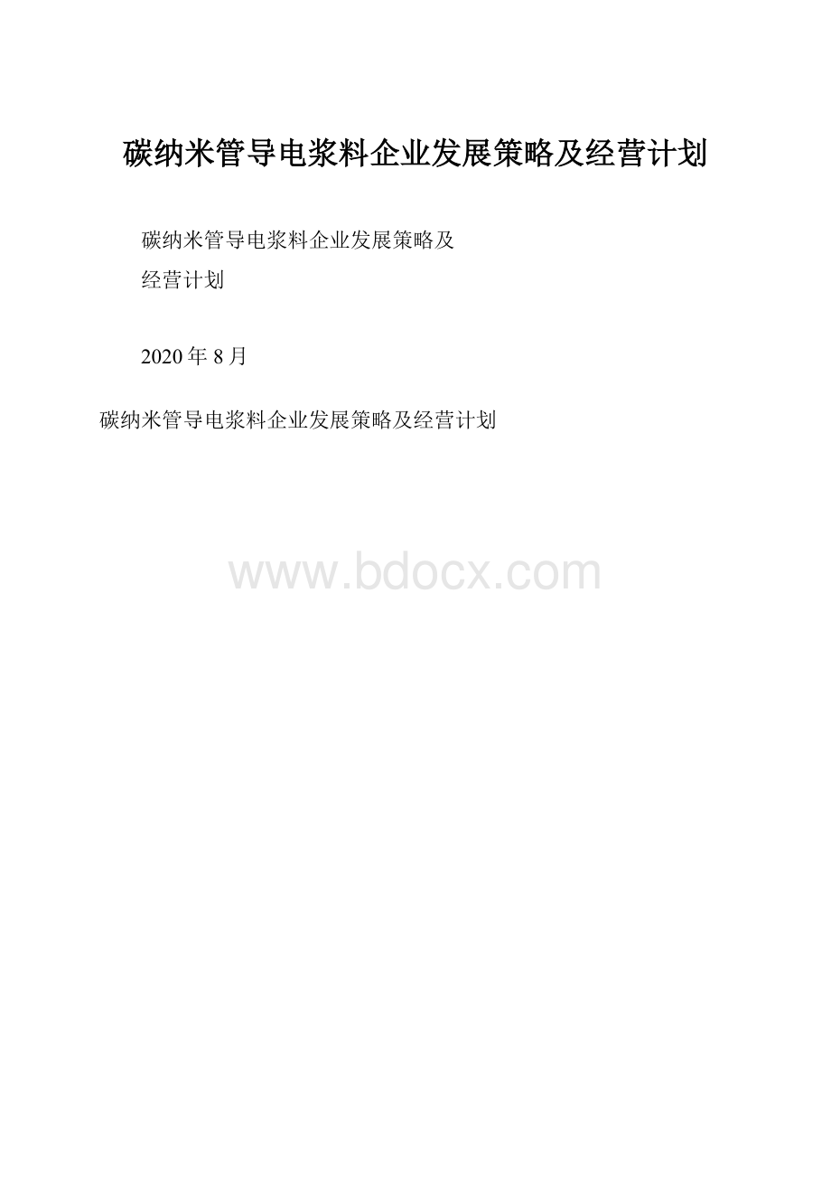 碳纳米管导电浆料企业发展策略及经营计划.docx_第1页