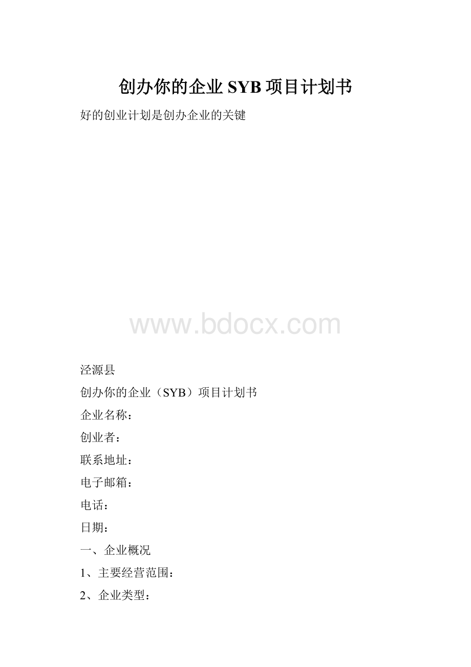 创办你的企业SYB项目计划书.docx_第1页