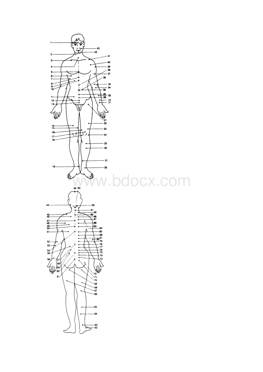 中医拔罐人体背部穴位图.docx_第2页