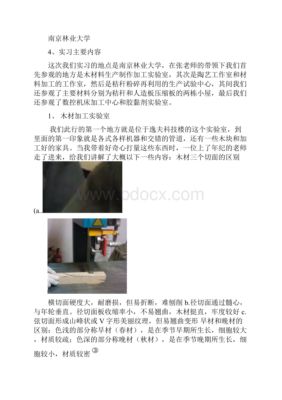 实习报告模板南林.docx_第2页